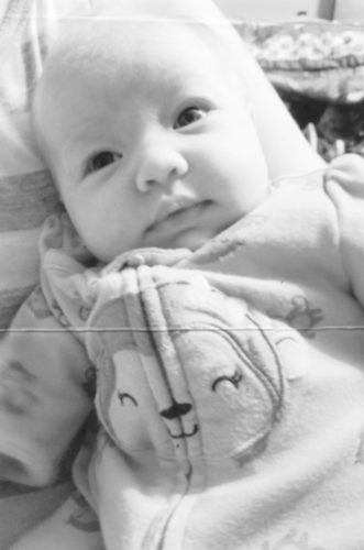 Brylee Lauren Yorks
